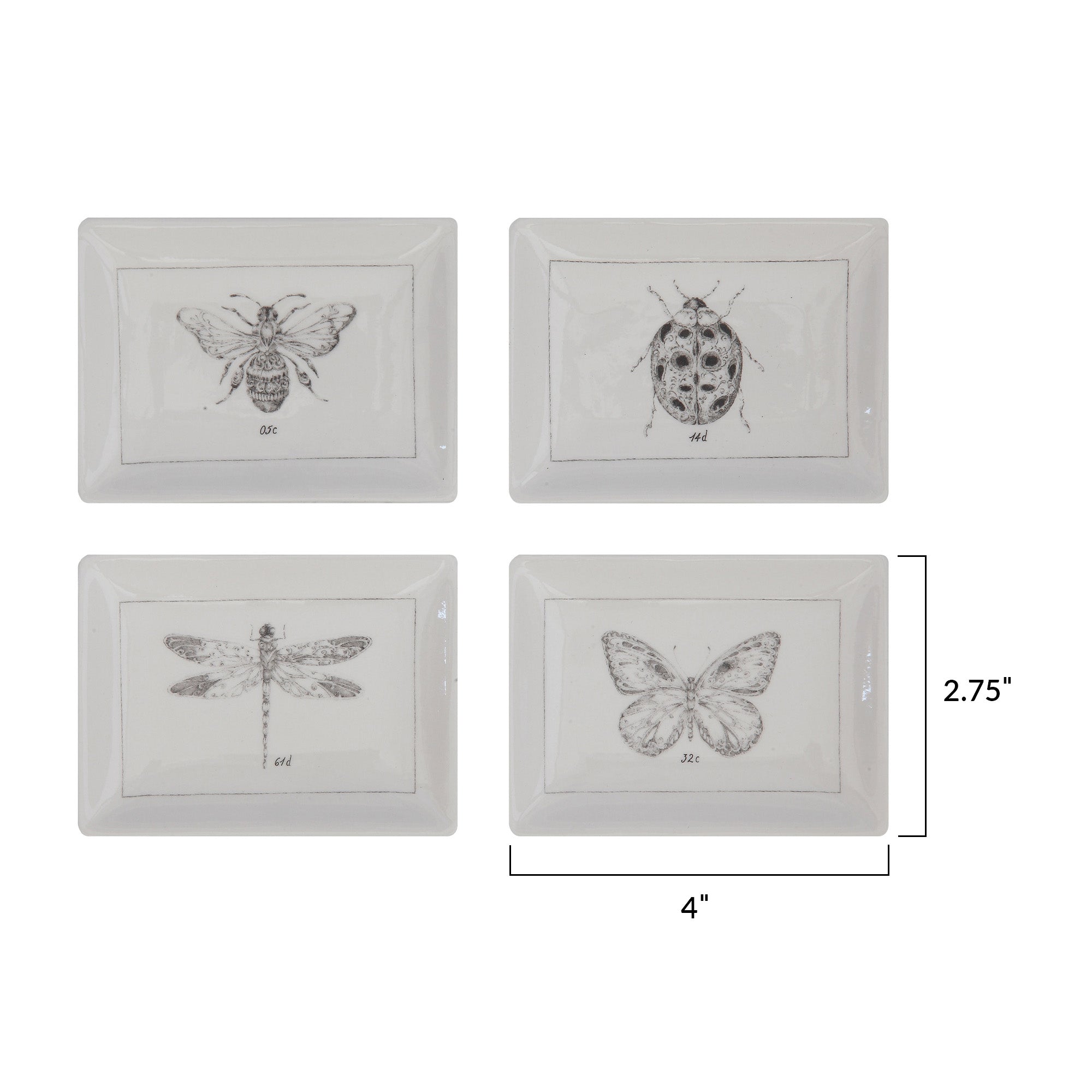 Rectangle Ceramic Dishes with Insect Images (Set of 4 Designs)